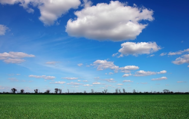 Hermoso paisaje con cielo nublado y hierba verde