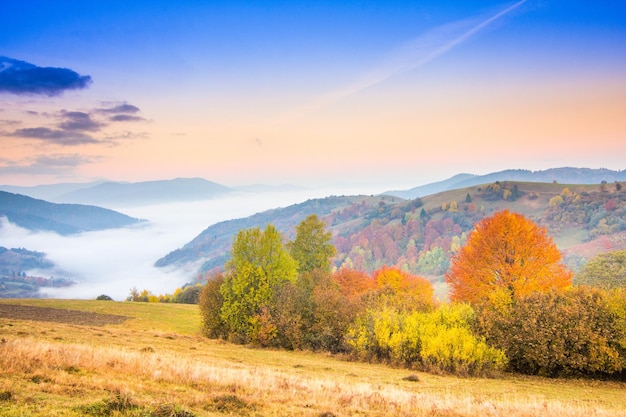 Hermoso paisaje con colinas y montañas.