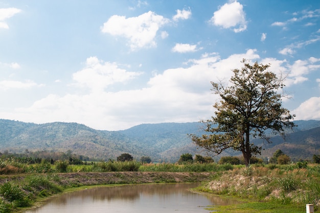 Hermoso paisaje de colinas y valles con río en un día soleado