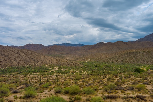 Hermoso paisaje desértico panorámico desierto, cerca de Phoenix, Arizona