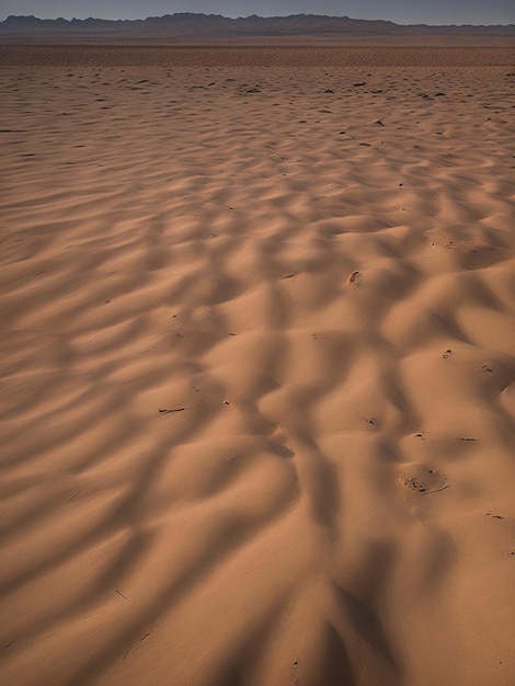 El hermoso paisaje del desierto