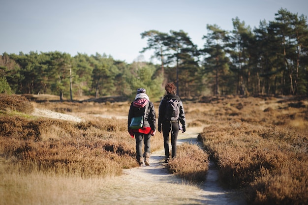 Hermoso paisaje con dos excursionistas caminando en la naturaleza en un soleado día de otoño