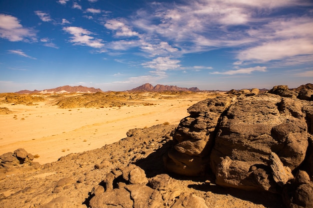 Hermoso paisaje de dunas de arena en Egipto. El desierto del Sahara. Fondo de onda de arena naranja.