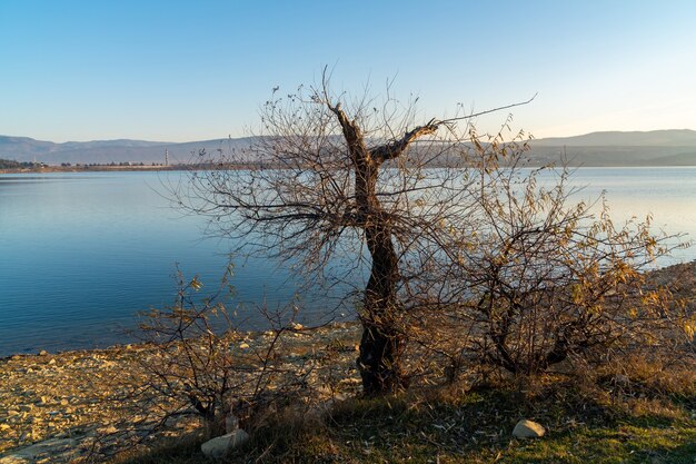 Hermoso paisaje del embalse de Tbilisi