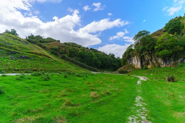 Hermoso paisaje escénico de Waitomo, Isla Norte de Nueva Zelanda