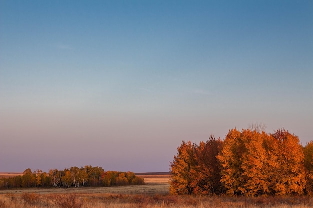 Hermoso paisaje de estepa rural de otoño árboles de otoño