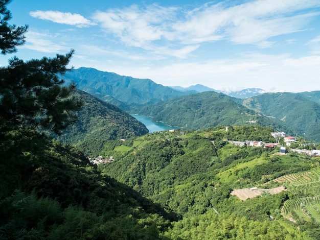 Hermoso paisaje en la granja Cingjing