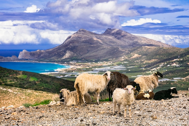 Hermoso paisaje de Grecia