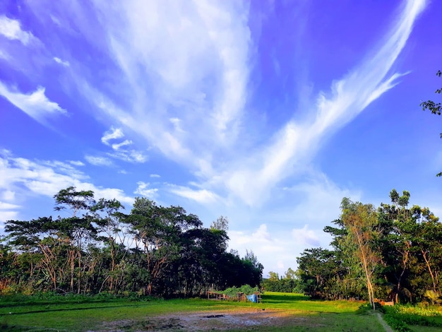 Hermoso paisaje de un greenfield bajo el cielo nublado