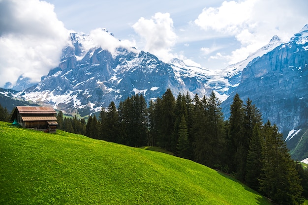 Hermoso paisaje de Grindelwald, Suiza