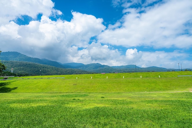 Hermoso paisaje hierba verde con bosque natural Vistas a la montaña primavera con atmósfera de aire fondo de cielo azul brillante textura de fondo abstracto claro con nubes blancas