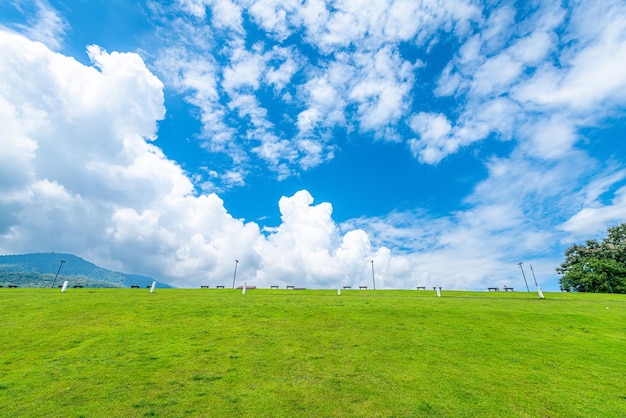 Hermoso paisaje hierba verde con bosque natural Vistas a la montaña primavera con atmósfera de aire fondo de cielo azul brillante textura de fondo abstracto claro con nubes blancas