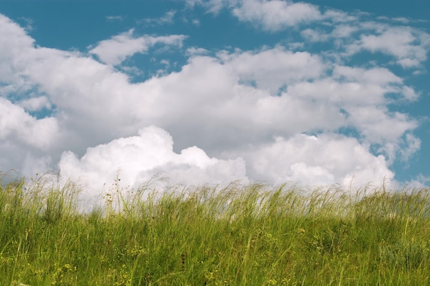 Hermoso paisaje con hierba verde bajo un cielo azul con nubes Paisaje pintoresco Campo