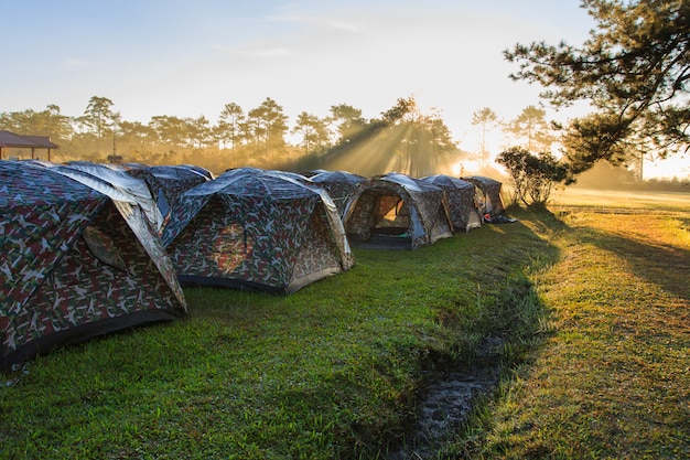 Hermoso paisaje en la hora del amanecer y carpa