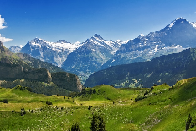 Hermoso paisaje idílico de los Alpes con montañas en verano, Suiza