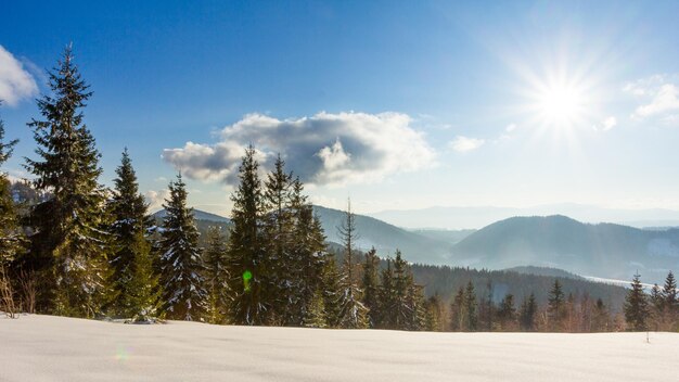 Hermoso paisaje invernal con árboles cubiertos de nieve Montañas de invierno