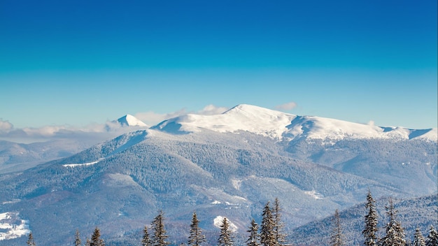 Hermoso paisaje invernal con árboles cubiertos de nieve Montañas de invierno