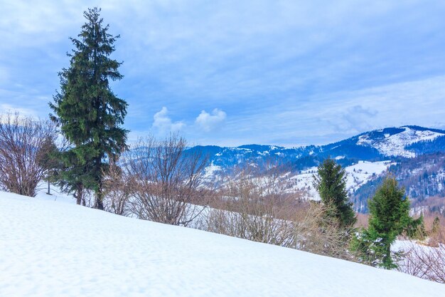 Hermoso paisaje invernal con árboles cubiertos de nieve Montañas de invierno