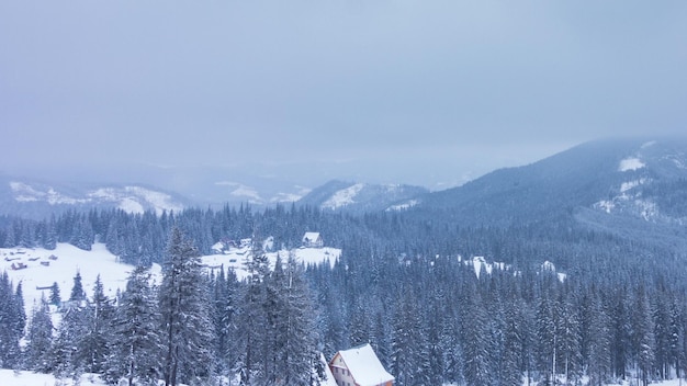 Hermoso paisaje invernal con árboles cubiertos de nieve Montañas de invierno