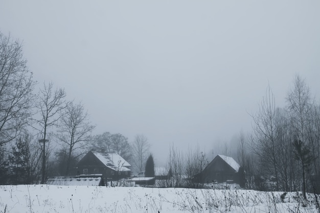 Hermoso paisaje invernal con edificios de casas rurales y árboles en la nieve.
