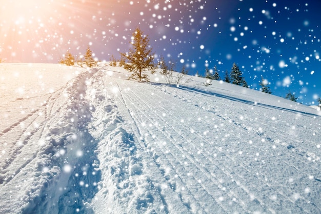 Hermoso paisaje invernal Pendiente de montaña empinada con camino y pistas de esquí en nieve blanca profunda árboles de abeto verde grandes copos de nieve y rayos de sol brillantes en el fondo del espacio de copia de cielo azul