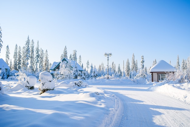 Hermoso paisaje de invierno atmosférico. Árboles cubiertos de nieve en el bosque a la luz del sol. Fondo de naturaleza de invierno.