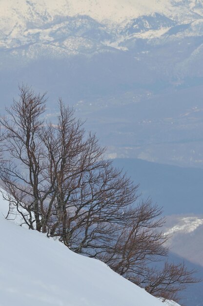 hermoso paisaje de invierno con nieve helada y vientos fuertes