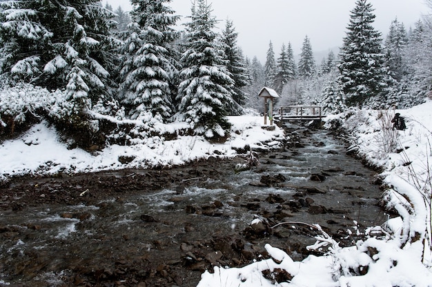 Hermoso paisaje de invierno nublado en las montañas de los Cárpatos