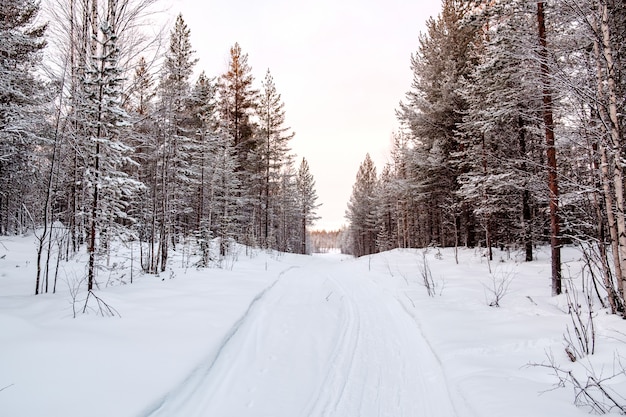 Hermoso paisaje de invierno