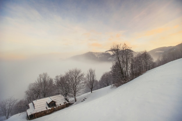 Hermoso paisaje de invierno