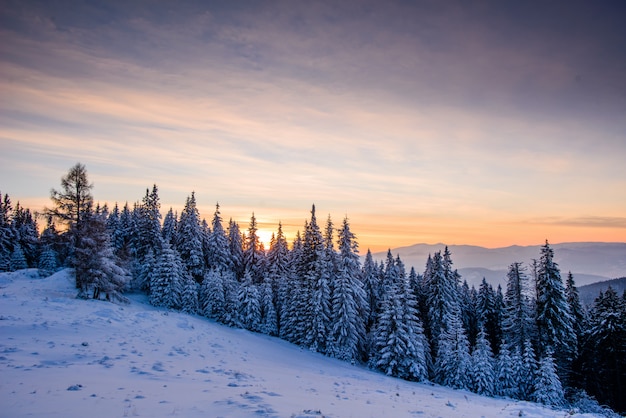 Hermoso paisaje de invierno