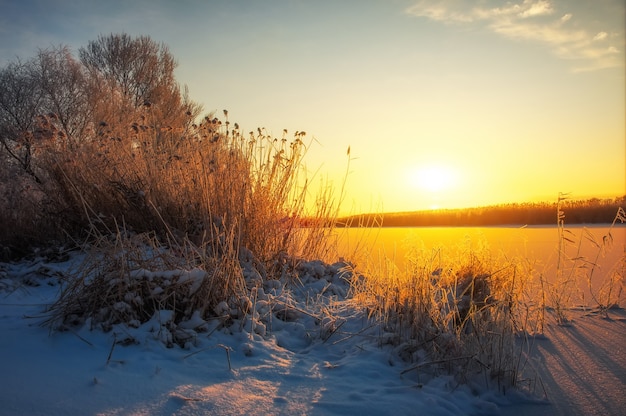 Hermoso paisaje de invierno