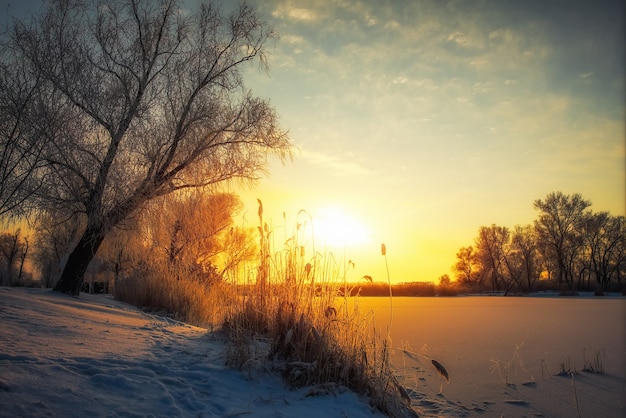 Hermoso paisaje de invierno