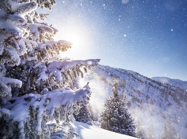 Hermoso paisaje de invierno