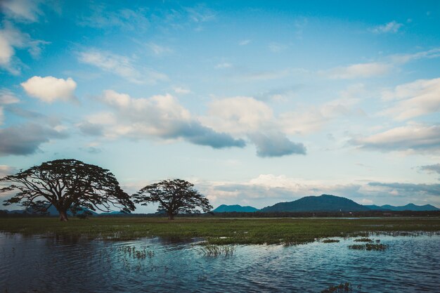 Un hermoso paisaje con un lago, un árbol y montañas. Lago de bosque bajo cielo nublado azul