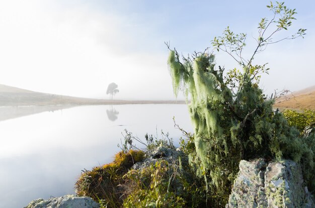 Hermoso paisaje del lago en un día brumoso.