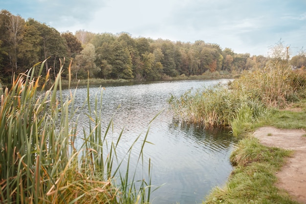 Hermoso paisaje de lago tranquilo en el bosque en un día soleado de otoño