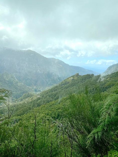 Hermoso paisaje de Madeira