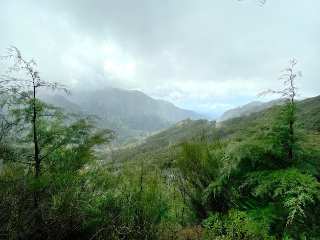 Hermoso paisaje de Madeira