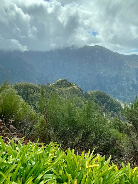 Hermoso paisaje de Madeira