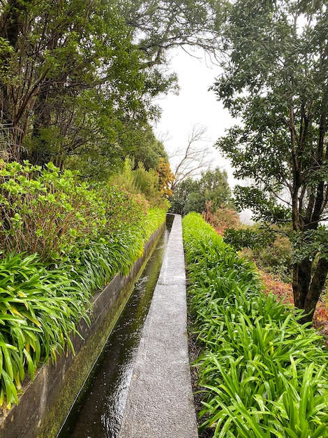 Hermoso paisaje de Madeira