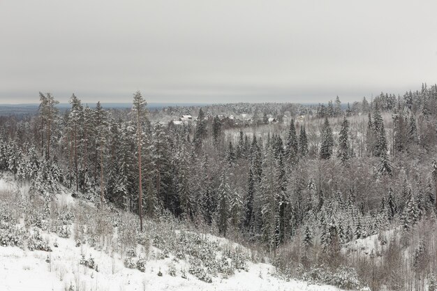 Hermoso paisaje de madera en un tranquilo día de invierno en Rusia.