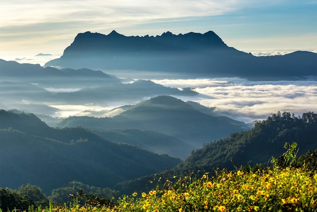 Hermoso paisaje por la mañana en Doi Luang Chiang Dao Chiang Mai Tailandia