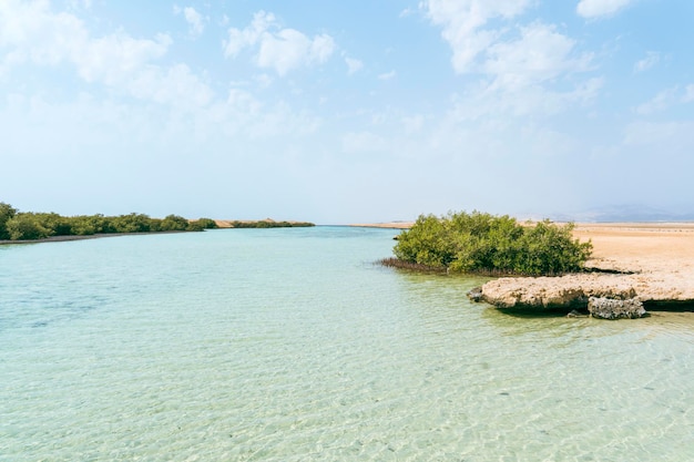 Hermoso paisaje de manglares en el Parque Nacional Ras Mohammed en Egipto