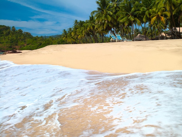 Hermoso paisaje marino con palmeras contra el cielo azul