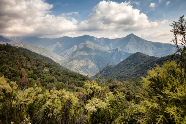 Hermoso paisaje de montaña, bosque, cielo azul, degradado