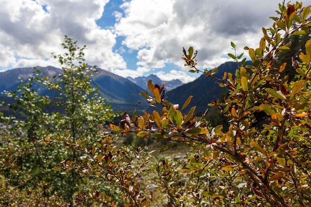 Hermoso paisaje de montaña, bosque y nubes.