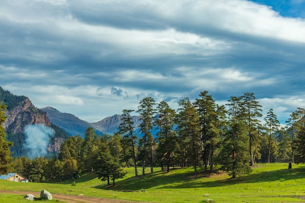 Hermoso paisaje de montaña, bosque y nubes.