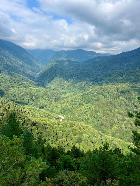 Foto hermoso paisaje de montaña y bosque verde en tiempo nublado