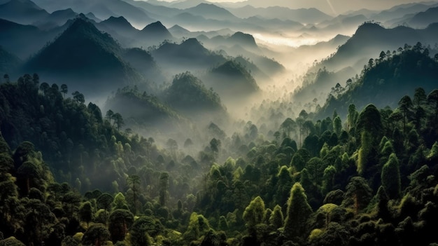 Hermoso paisaje de montaña y bosque.